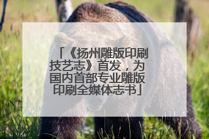 《扬州雕版印刷技艺志》首发，为国内首部专业雕版印刷全媒体志书
