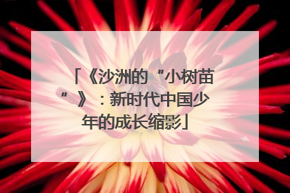 《沙洲的“小树苗”》：新时代中国少年的成长缩影
