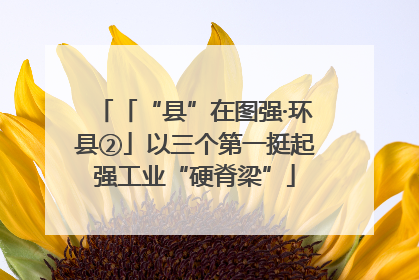 「“县”在图强·环县②」以三个第一挺起强工业“硬脊梁”