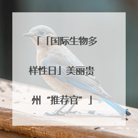 「国际生物多样性日」美丽贵州“推荐官”