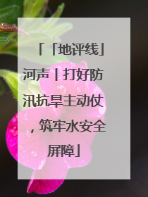 「地评线」河声丨打好防汛抗旱主动仗，筑牢水安全屏障