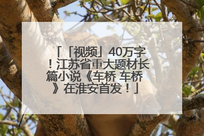 「视频」40万字！江苏省重大题材长篇小说《车桥 车桥》在淮安首发！