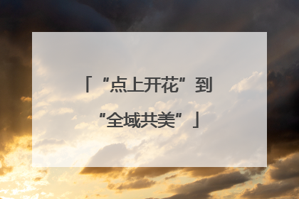 “点上开花”到“全域共美”
