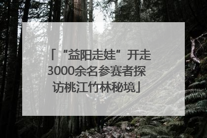 “益阳走娃”开走 3000余名参赛者探访桃江竹林秘境