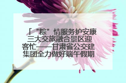 “粽”情服务护安康 三大交旅融合景区迎客忙——甘肃省公交建集团全力做好端午假期景区运营工作