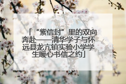 “紫信封”里的双向奔赴——清华学子与怀远县龙亢镇实验小学学生暖心书信之约