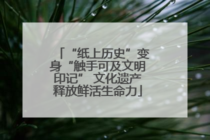 “纸上历史”变身“触手可及文明印记” 文化遗产释放鲜活生命力