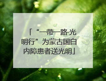 “一带一路·光明行”为蒙古国白内障患者送光明