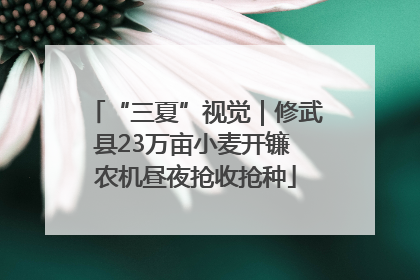 “三夏”视觉｜修武县23万亩小麦开镰 农机昼夜抢收抢种