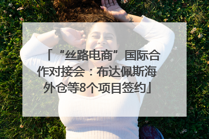 “丝路电商”国际合作对接会：布达佩斯海外仓等8个项目签约