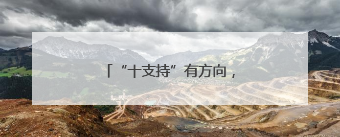 “十支持”有方向，“十不得”守底线
