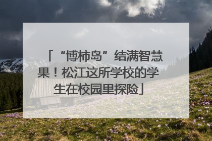 “博柿岛”结满智慧果！松江这所学校的学生在校园里探险