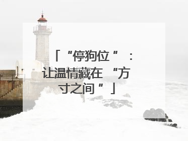 “停狗位 ”：让温情藏在 “方寸之间 ”