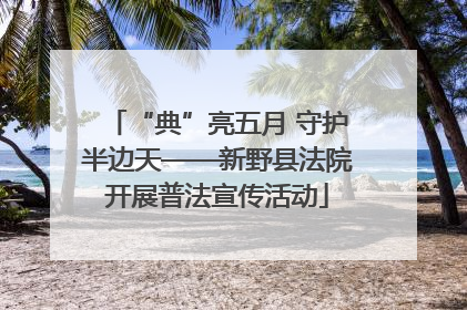 “典”亮五月 守护半边天——新野县法院开展普法宣传活动