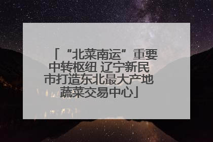 “北菜南运”重要中转枢纽 辽宁新民市打造东北最大产地蔬菜交易中心