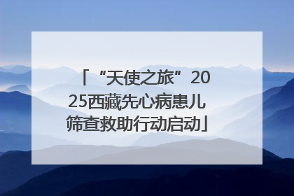 “天使之旅”2025西藏先心病患儿筛查救助行动启动