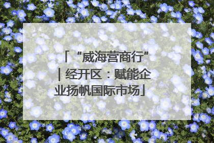 “威海营商行”｜经开区：赋能企业扬帆国际市场