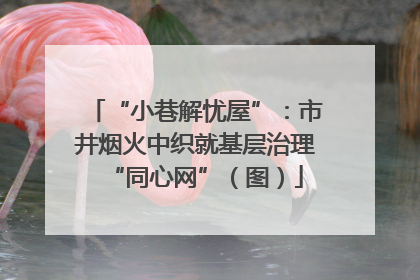 “小巷解忧屋”：市井烟火中织就基层治理“同心网”（图）