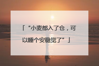 “小麦都入了仓，可以睡个安稳觉了”