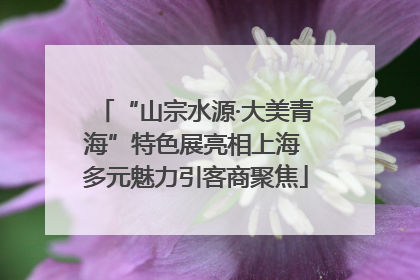 “山宗水源·大美青海”特色展亮相上海 多元魅力引客商聚焦