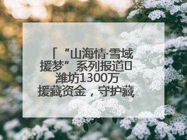 “山海情·雪域援梦”系列报道⑪ 潍坊1300万援藏资金，守护藏区群众健康“最后一公里”