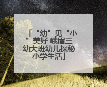 “幼”见“小”美好 峨眉三幼大班幼儿探秘小学生活