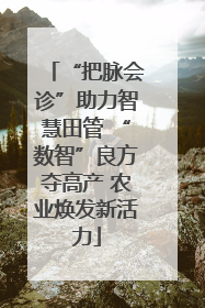 “把脉会诊”助力智慧田管 “数智”良方夺高产 农业焕发新活力