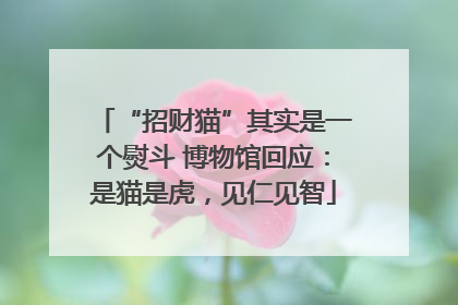 “招财猫”其实是一个熨斗 博物馆回应：是猫是虎，见仁见智