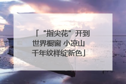 “指尖花”开到世界橱窗 小凉山千年纹样绽新色