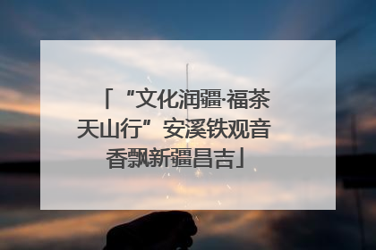 “文化润疆·福茶天山行”安溪铁观音香飘新疆昌吉
