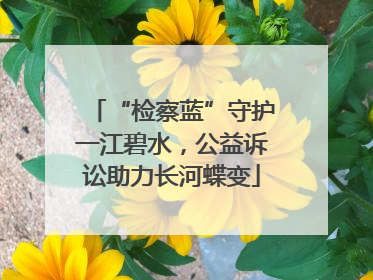 “检察蓝”守护一江碧水，公益诉讼助力长河蝶变