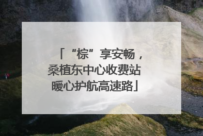 “棕”享安畅，桑植东中心收费站暖心护航高速路