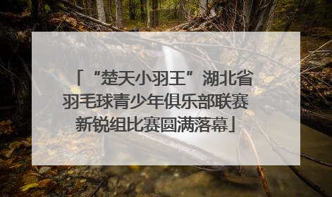 “楚天小羽王”湖北省羽毛球青少年俱乐部联赛新锐组比赛圆满落幕