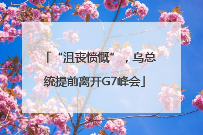 “沮丧愤慨”，乌总统提前离开G7峰会