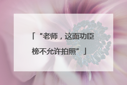 “老师，这面功臣榜不允许拍照”