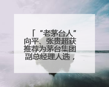 “老茅台人”向平、张贵超获推荐为茅台集团副总经理人选，后者是集团最年轻党委委员