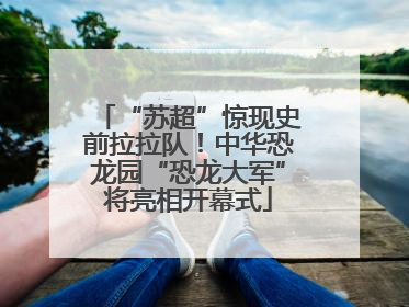 “苏超”惊现史前拉拉队！中华恐龙园“恐龙大军”将亮相开幕式