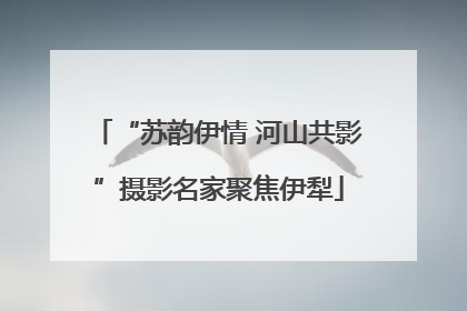 “苏韵伊情 河山共影”摄影名家聚焦伊犁