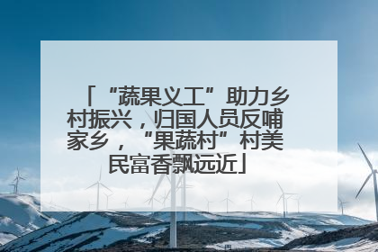 “蔬果义工”助力乡村振兴，归国人员反哺家乡，“果蔬村”村美民富香飘远近
