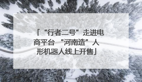 “行者二号”走进电商平台 “河南造”人形机器人线上开售