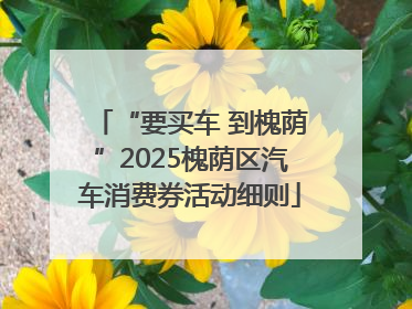 “要买车 到槐荫”2025槐荫区汽车消费券活动细则