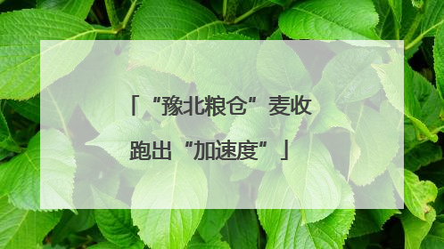 “豫北粮仓”麦收跑出“加速度”