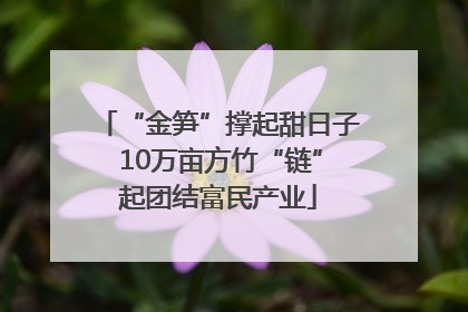 “金笋”撑起甜日子 10万亩方竹“链”起团结富民产业