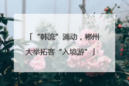 “韩流”涌动，郴州大举拓客“入境游”