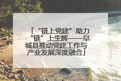 “链上党建”助力“链”上生辉——阜城县推动党建工作与产业发展深度融合