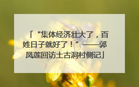 “集体经济壮大了，百姓日子就好了！”——郭凤莲回访土古洞村侧记
