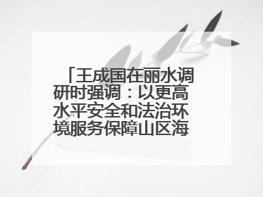 王成国在丽水调研时强调：以更高水平安全和法治环境服务保障山区海岛县高质量发展