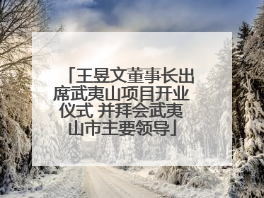 王昱文董事长出席武夷山项目开业仪式 并拜会武夷山市主要领导