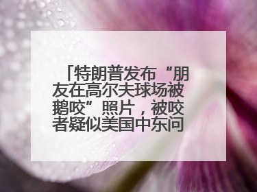 特朗普发布“朋友在高尔夫球场被鹅咬”照片，被咬者疑似美国中东问题特使