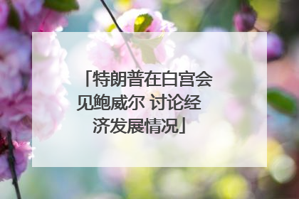 特朗普在白宫会见鲍威尔 讨论经济发展情况